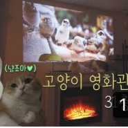 고꿈집2 어바웃펫TV - 냥춤맞춤 직접 맞춤 가구까지 제작한 오션뷰 고층아파트