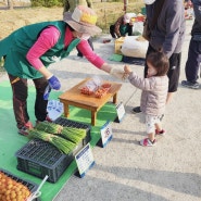 안성 농업인 직거래 새벽시장 다녀왔어용