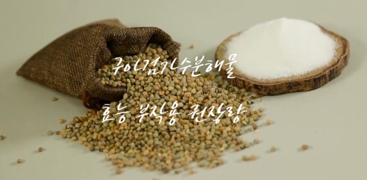 구아검가수분해물 효능 부작용 (ft. 하루 섭취 권장량 활용법 섭취 방법) : 네이버 블로그