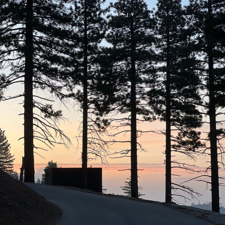 미국 엘에이 근교 여행 part.1 ㅣ getaway house Running Springs, 글램핑엔 고기 굽굽, 하이킹