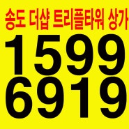 더샵 송도 트리플타워 상가분양 즉시입주/임대보장(2년)