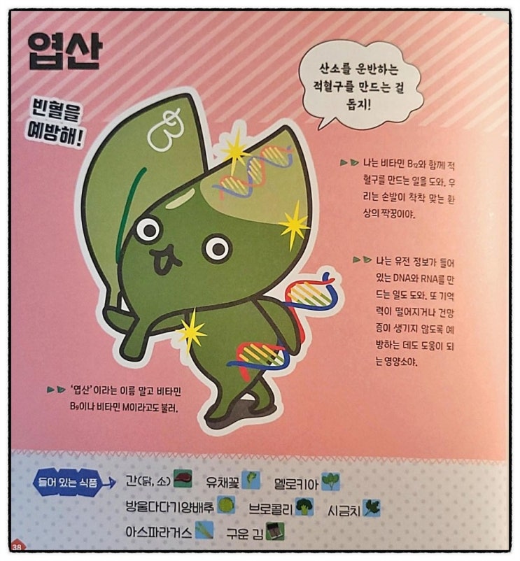 비타민 B9 엽산 산소 적혈구 빈혈 DNA RNA 닭 소 간 채소 임신부 세포 : 네이버 블로그