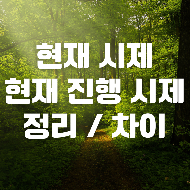 영어 현재시제 정리, 현재 진행시제와 비교 : 네이버 블로그