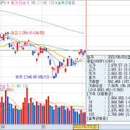 2022-06-04(금)오늘의 상한가 하한가