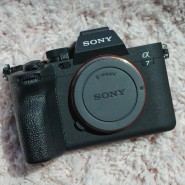 Sony A7M4 (알파 7 IV) 사용기 : 영상과 사진을 모두 사로잡다!!