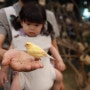 11개월 아기와 가볼 만한 곳_ 실내동물원 + 아쿠아카페 + 키카가 한곳에 있는 동탄 주렁주렁 라크몽점 (수유실)