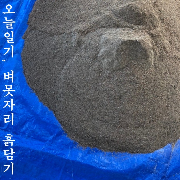 모내기준비, 못자리용 상토 흙담는 방법 : 네이버 블로그