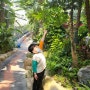 이천 미니식물원 이천환경학습관 아이랑 갈만한곳