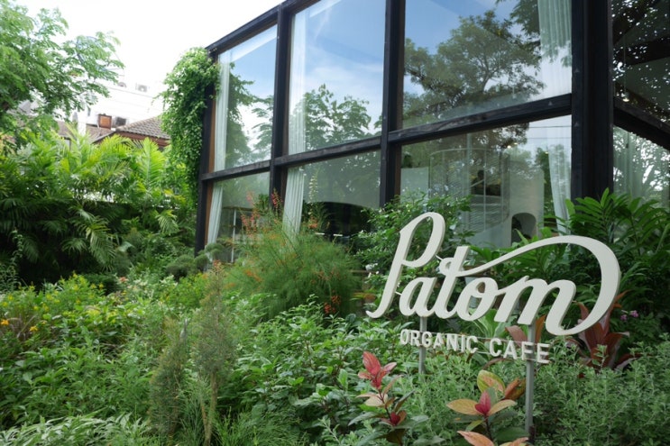 초록이 가득한 자연속 유기농 카페 파톰 오가닉 카페 Patom Organic Cafe : 네이버 블로그