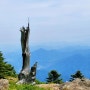 [지리산 국립공원] 백무동 한신계곡 세석산장 장터목 지리산 천왕봉 등산 코스