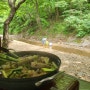 [일상] 진천 연곡계곡 물놀이 가능한 백숙 맛집 다람쥐마을