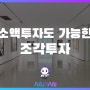 소액투자도 가능한 조각투자의 종류와 조각투자 시 유의사항