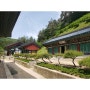 5월 속초여행 (1/2): 월정사, 설악산, 회맛집 / Sokcho Trip: Woljeongsa Temple, Seorak Hiking