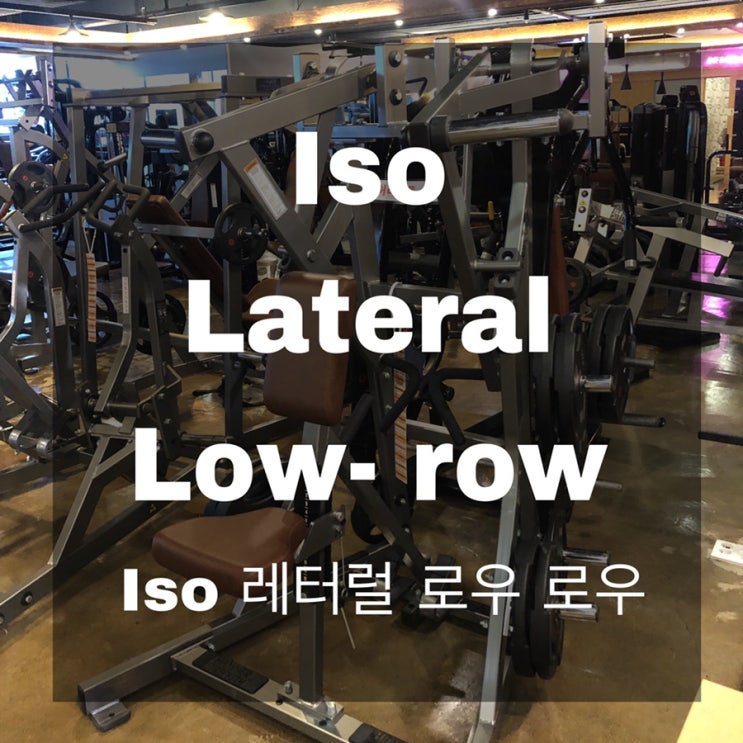 해머스트렝스/ Iso 레터럴 로우로우/ 사용방법/ 등운동추천 : 네이버 블로그 해머스트렝스/ Iso 레터럴 로우로우/ 사용방법/ 등운동추천 : 네이버 블로그