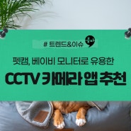 펫캠, 베이비 모니터로 유용한 CCTV 카메라 앱 추천 : 알프레드 CCTV, 아기 감시자 PRO, 워든캠, At Home