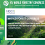 제 15차 세계산림총회, '국가감축목표(NDC) 내 기후변화 완화 및 적응을 위한 산림자연기반해법 활용'