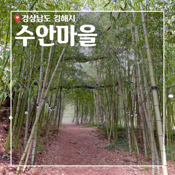 김해가볼만한곳_ 수안마을 소등껄 수국정원(대나무숲&수국)