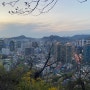 남산타워(N서울타워) 서울 가볼 만한 곳 / 국내여행지 / 국내 가볼만한곳