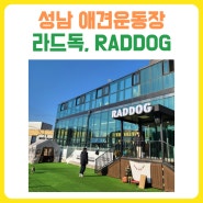 성남애견운동장 훈련사가 운영하는 하대원동 라드독,RADDOG