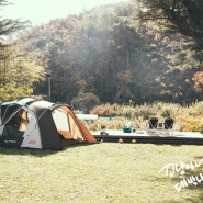 영천 자호천생태학교 : 당일 캠핑 피크닉으로 좋음 잔디밭 최고