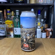 [맥주] 라이프 프룻 - 크래프트브로스