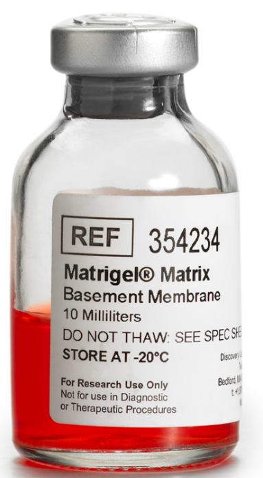 Corning 354234 Matrigel matrix 10 mL : 네이버 블로그