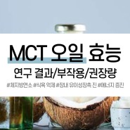 [이너뷰티] MCT 오일 효능 : 연구 결과/부작용/권장량