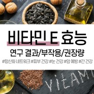 [이너뷰티] 비타민E 효능 : 연구 결과/부작용/권장량