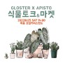 [GLOSTER X APISTO] 식물토크&마켓