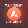 아발란체 : Avalanche (AVAX)