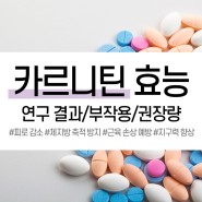 [이너뷰티] L-카르니틴 : 연구 결과/부작용/권장량