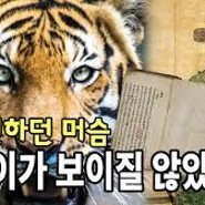 조선시대 호랑이 목격담 및 일제시대 마지막 호랑이(?) 사냥