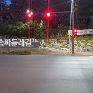 2번째 주간일기