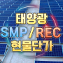 2022년 6월 첫째주 REC SMP 태양광 현물단가 정리