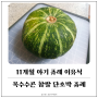 [11개월 아기 후기 이유식] 옥수수콘 찹쌀 단호박 퓨레 (단호박죽) 만들기