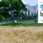 📜 중구뉴스 【 2022년 06월 울산 중구 모바일 소식지 212호 】