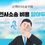 소액민사소송 비용 및 소액민사소송 후 조치