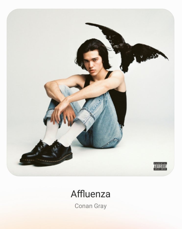 [lyrics/가사해석/노래추천] Affluenza- Conan Gray : 네이버 블로그