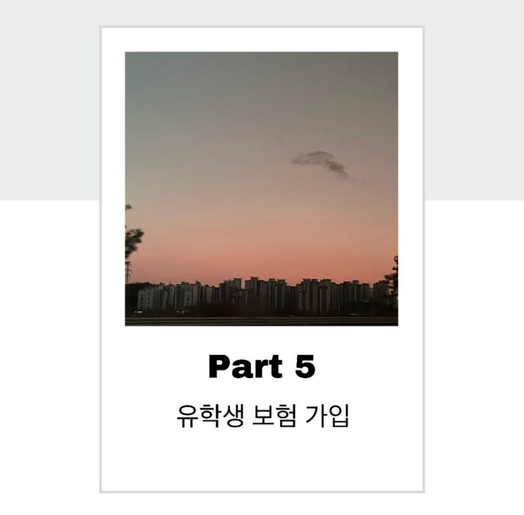 [ 중국 교환학생 준비 ] 5. 유학생 보험 가입 : 네이버 블로그