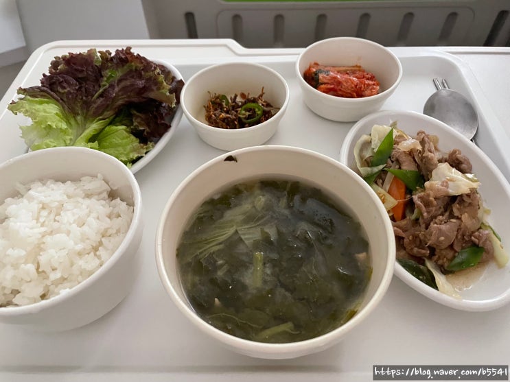부산제2항운병원 - 치질, 치열, 치핵 수술 2박 3일 입원 후기 (치핵 3도) : 네이버 블로그