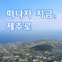 여기 어때?_지금 바로 제주도로