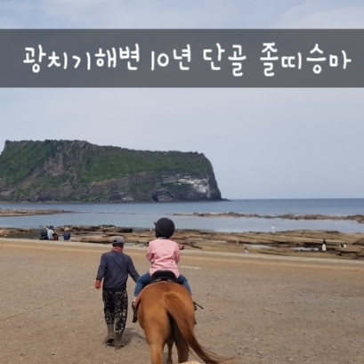 광치기해변 졸띠승마. 제주해변승마 10년단골 + 백기해녀의 집