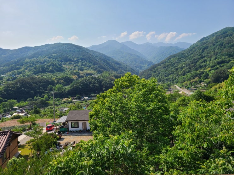 [경상남도 함양 여행] 솔바람 펜션