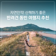 인천 석모도 트레킹ㅣ강화나들길19코스 상주해안길 반려견 동반 여행지 추천 둘레길 걷기여행