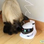 ebo se | 로봇 카메라 | 이동 cctv | ipcam | 고양이 댕댕이 | 오뚜기 카메라