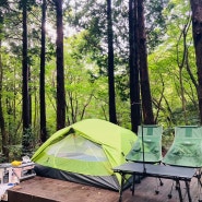 제주캠핑4) 제주서귀포자연휴양림캠핑장 (+황우지해안스노쿨링,88버거)