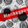 [주의!] 원숭이 두창 증상 전염경로 등 정보 정리