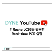 [DYNE LAB Vlog] Roche LightCycler96을 이용한 Real-time PCR 실험하기