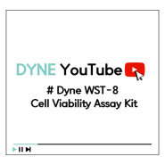 다인실험실 : Dyne WST-8 Cell Viability Assay Kit
