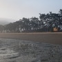 신안 섬여행. 자은도 한운리의 미개장 해수욕장 아침풍경(2022년 3월16일)